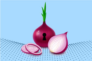 the security onion