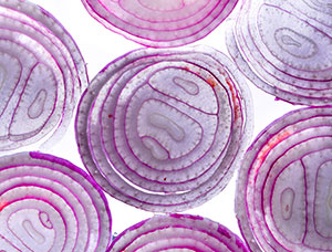 security onion layers